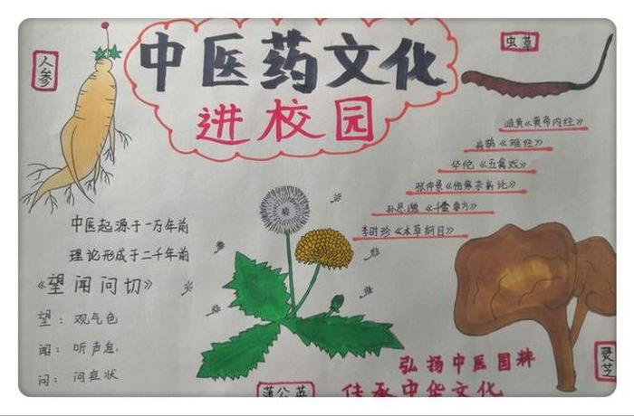 有趣的中医小知识手抄报 - 中医药手抄报简单好看