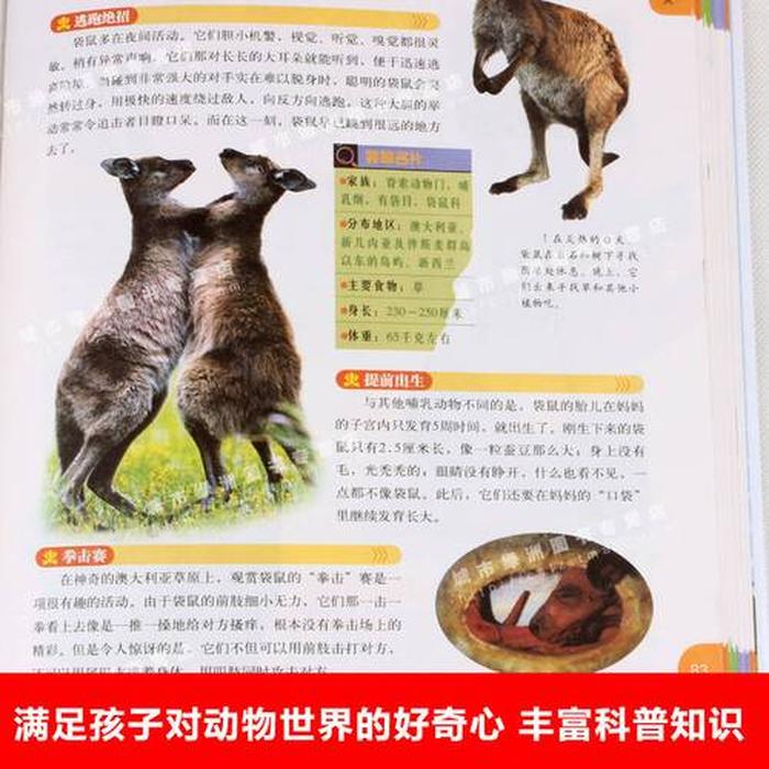动物百科知识大全集 动物大百科全书