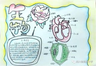 有趣的生物学知识、好玩的生物学