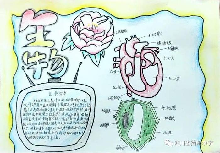 有趣的生物学知识、好玩的生物学