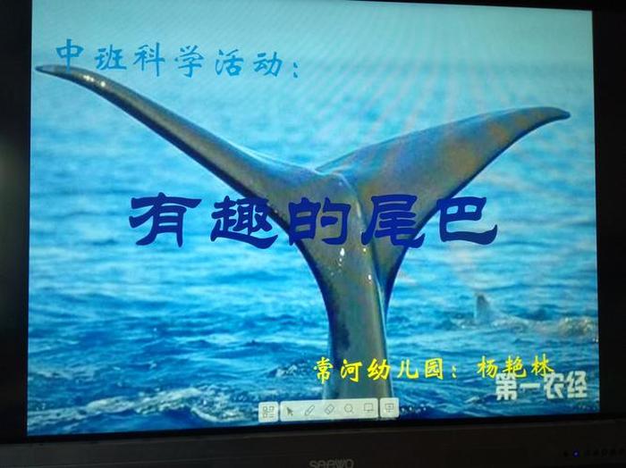 一门有趣的科学仿生学问题清单 - 有趣的仿生学阅读理解