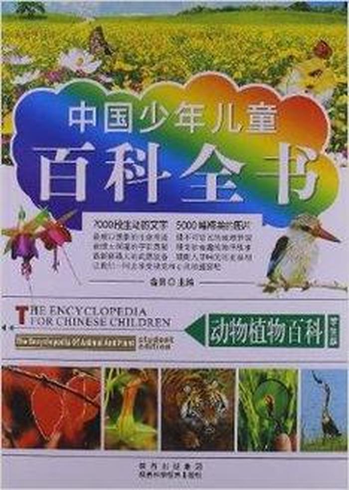 中国百科知识大全儿童，6岁儿童百科大全题目