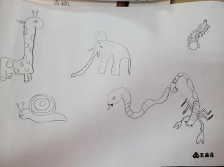 你生活中的发现有什么 生活中有趣的观察发现