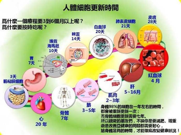 人体冷知识大全1000条 人体有趣的冷知识
