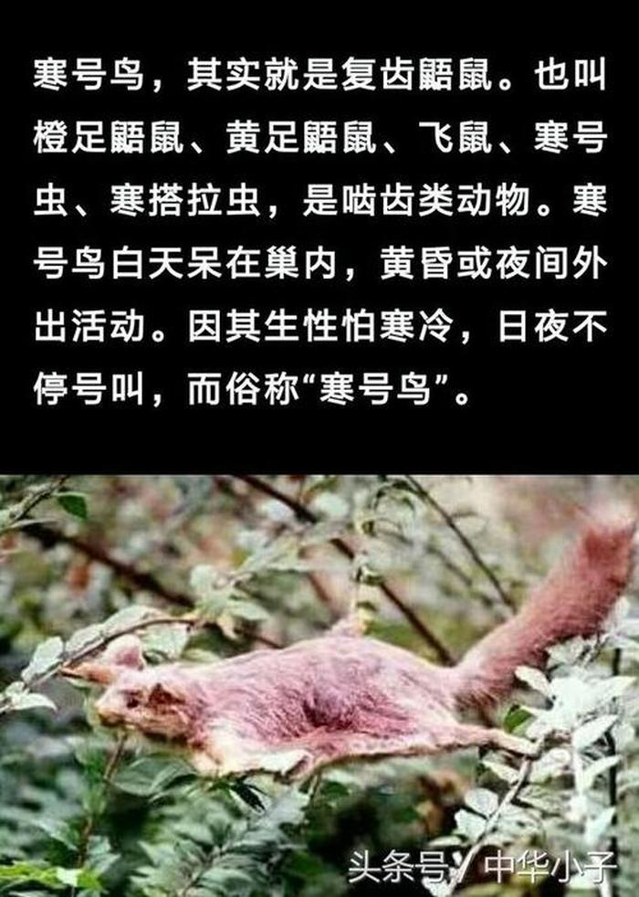 有意义的冷知识科普；让人难以相信的冷知识
