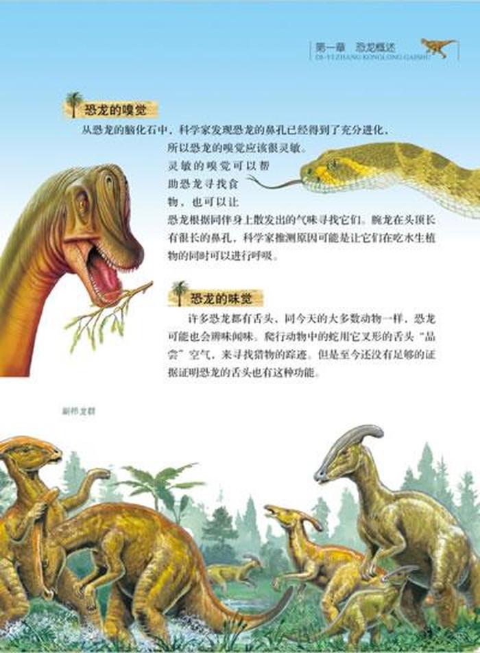 恐龙百科知识 恐龙名称大全及图片