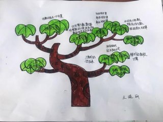 知识网络图怎么画语文，四年级上册数学知识树怎么画