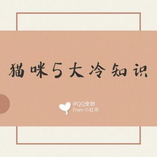 搞笑的冷知识100个，一些冷知识