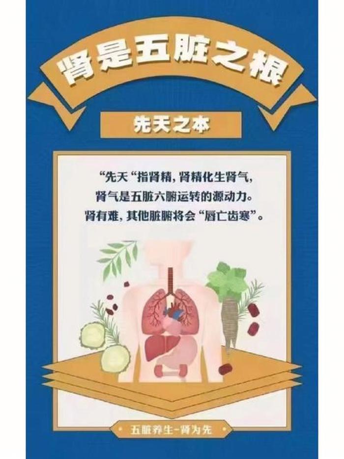 中医冬天如何养生；春养肝 夏养心 秋养肺 冬养肾