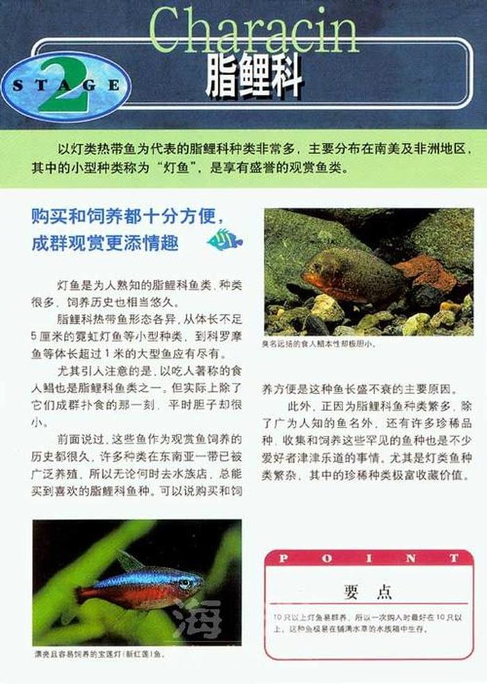 趣味科普鱼类小知识、有趣的科学小知识