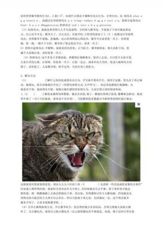 猫一些生活小常识，猫咪科普小知识
