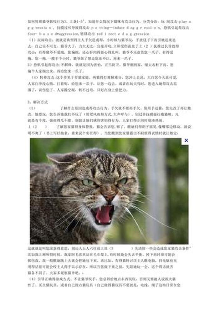 猫一些生活小常识，猫咪科普小知识