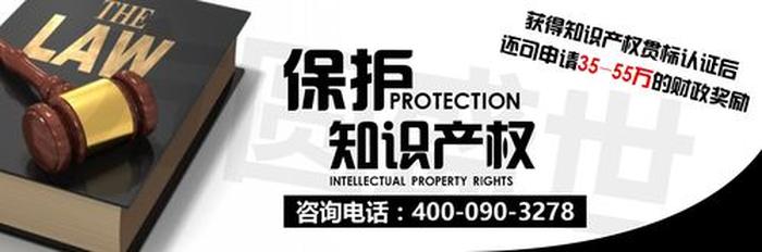知识产权管理体系标准 - 知识产权公共服务标准化