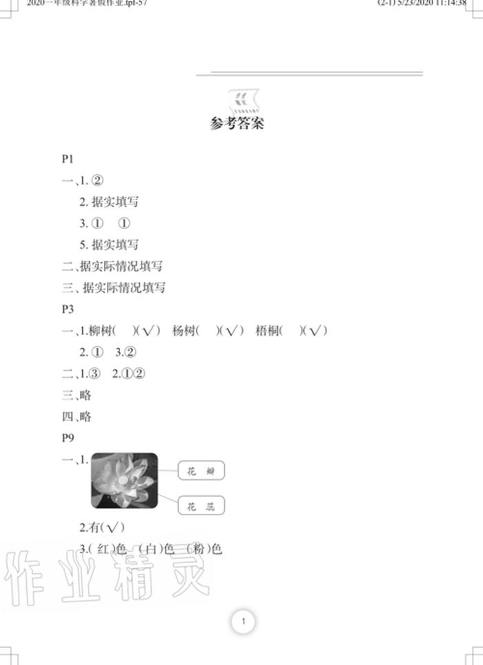科学小问题及答案大全简单 一年级科学题及答案