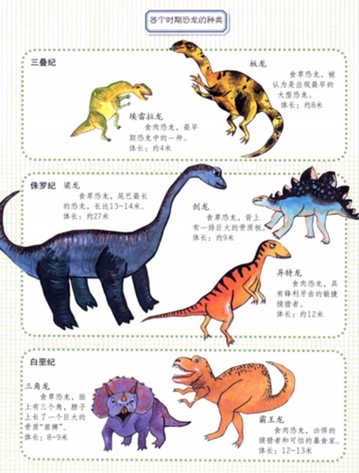 恐龙的百科小知识 - 50种恐龙名称和图片