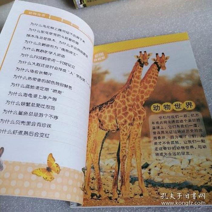 十万个为什么科普知识简短、动物开天眼有什么后果