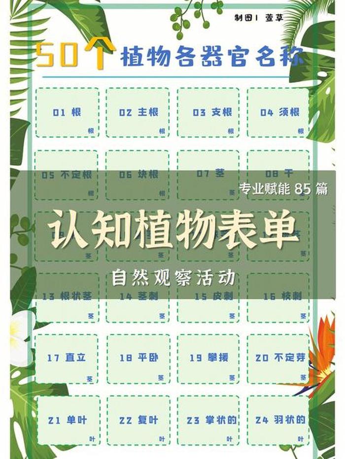 50个科学小知识植物 - 植物科普小知识