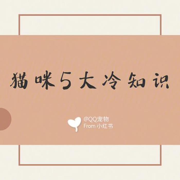 搞笑的冷知识100个，一些冷知识