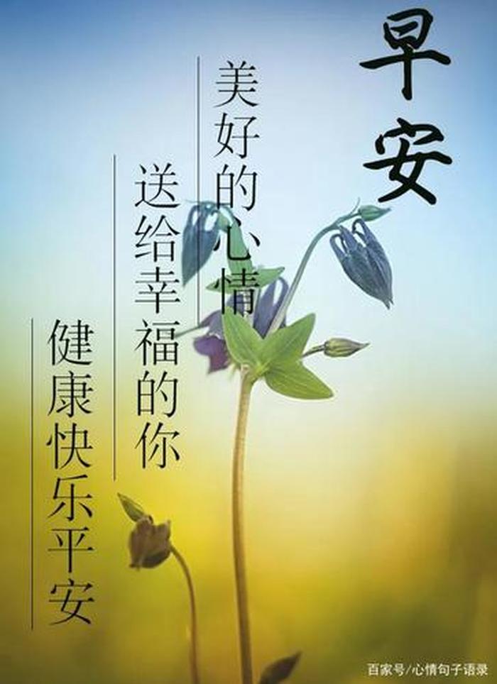 早上好每日小知识 - 每日心语早安心语