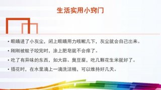 妙招生活小技巧；神奇的生活小妙招