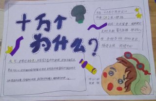 十万个为什么的小知识 十万个知识问答