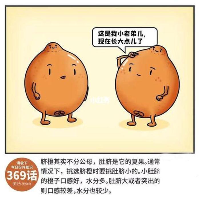 冷知识点；日常生活冷知识