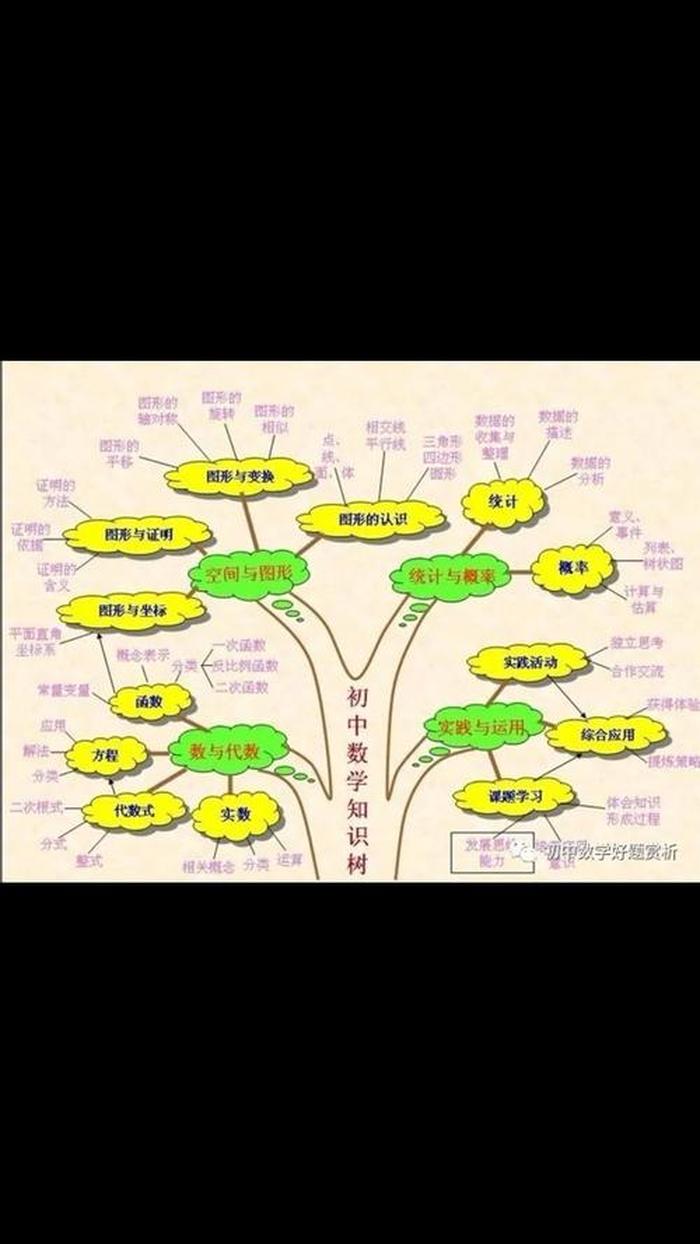 知识网络图怎么画数学、数学知识整理图怎么画