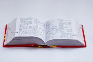 知识在字典怎样解释，知识是什么意思解释