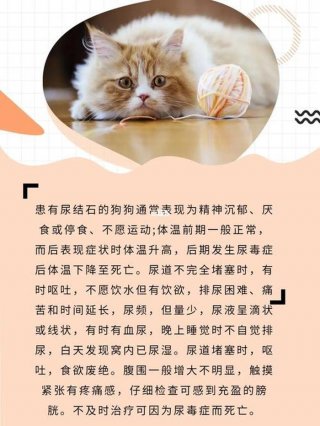 适合分享的小知识 小知识