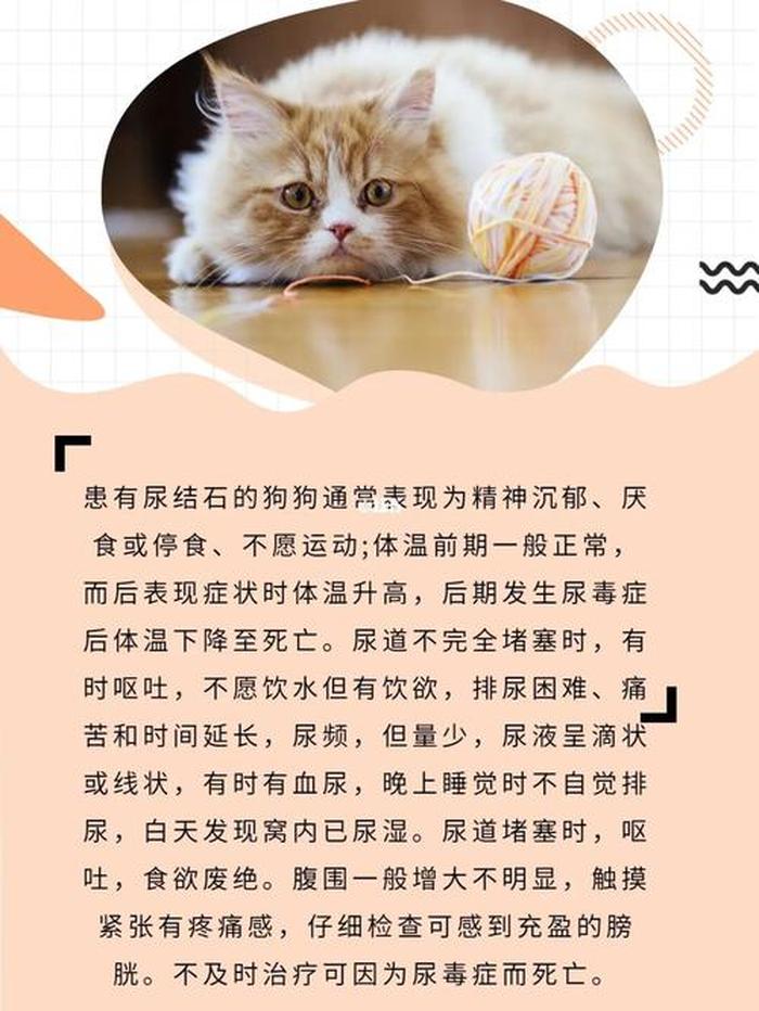 适合分享的小知识 小知识