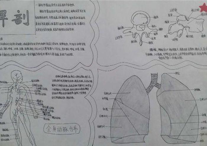 医学科普小知识大全手抄报、医学科普知识资料大全