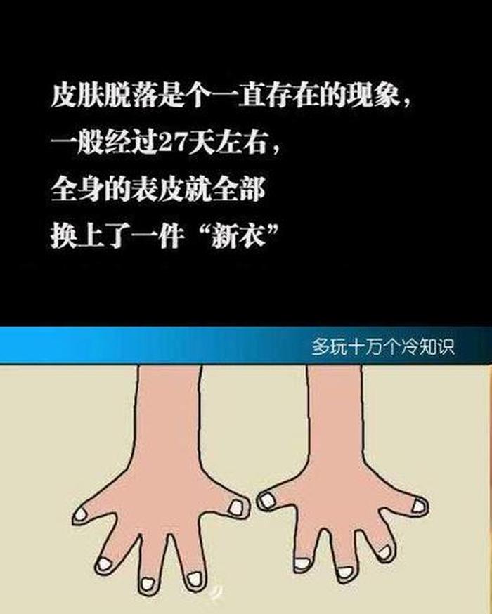 一般人不知道的冷知识和内容；史上最有用的冷知识