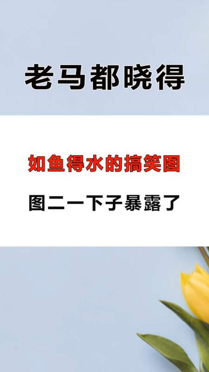 生活中冷知识段子 - 经典冷知识