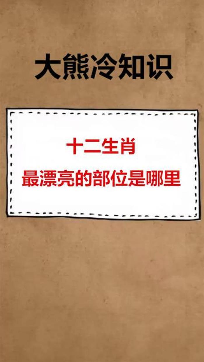 十二生肖冷知识大全 十二生肖常识大全