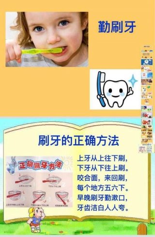 小小播报员安全小常识、小小播报员保护牙齿