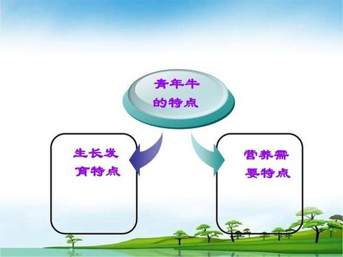 畜牧企业管理的基本知识 家畜饲养管理学