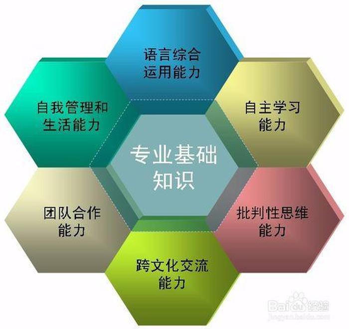 知识都包括哪些内容；基础知识包括哪些内容