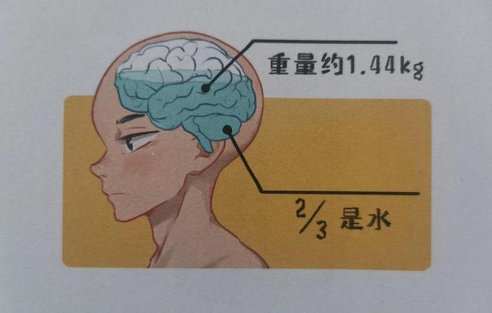 30个有趣的科学冷知识 - 日常生活常识题500道