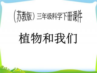 适合小学生的自然科学知识课件；小学科学课件ppt全套