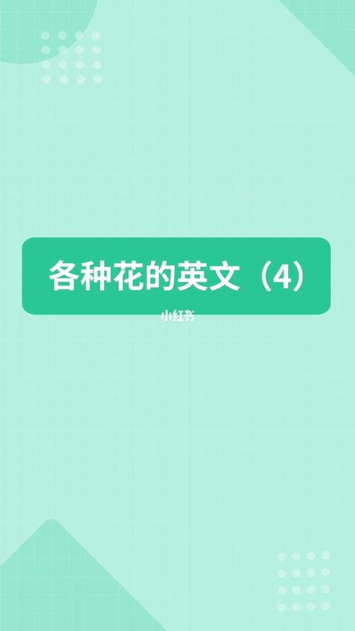 想知道关于花的什么知识怎么写；感觉英文怎么写