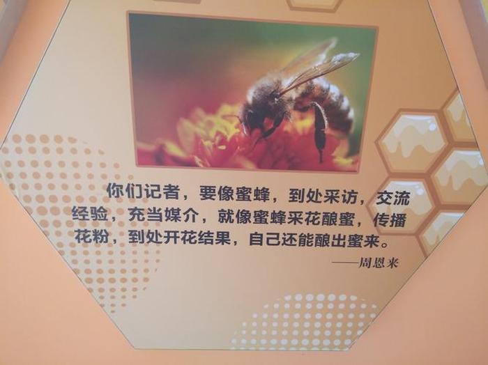 蜜蜂科普知识视频 蜜蜂科普讲座学生版