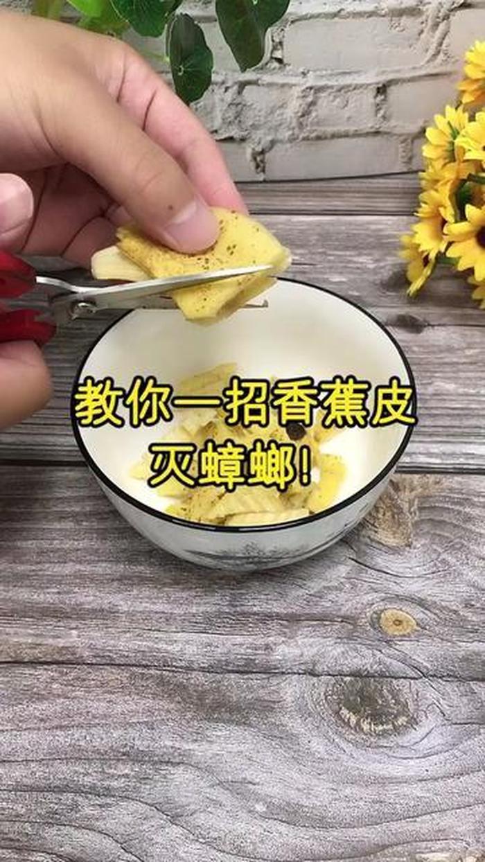 60个生活实用小妙招视频；我的劳动小妙招