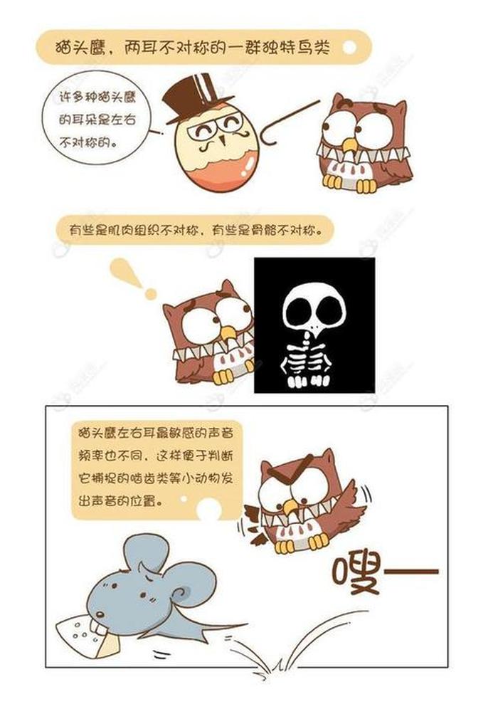 1000个有趣的冷知识小视频 - 有趣的生活冷知识