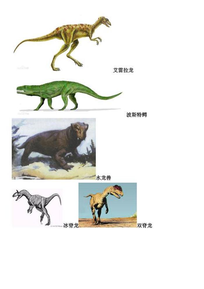 恐龙的百科小知识 - 50种恐龙名称和图片