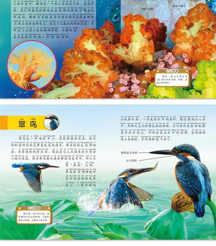 科技小知识儿童科普故事；幼儿科普小故事50字