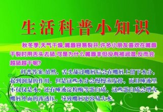 百科知识内容大全、有趣的科普小知识