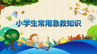 生活日常急救知识科普ppt 科普小知识PPT