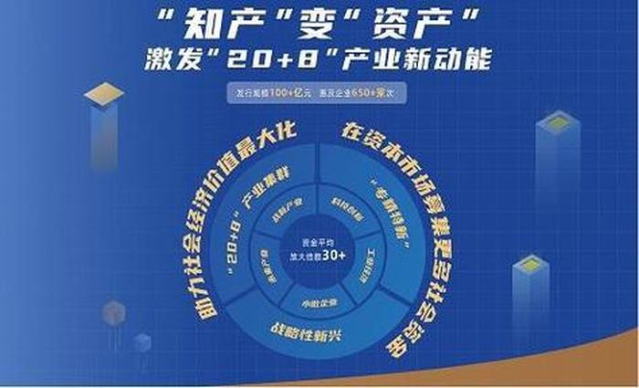 知识产权具有的三大特点 - 知识产权制度的发展历程