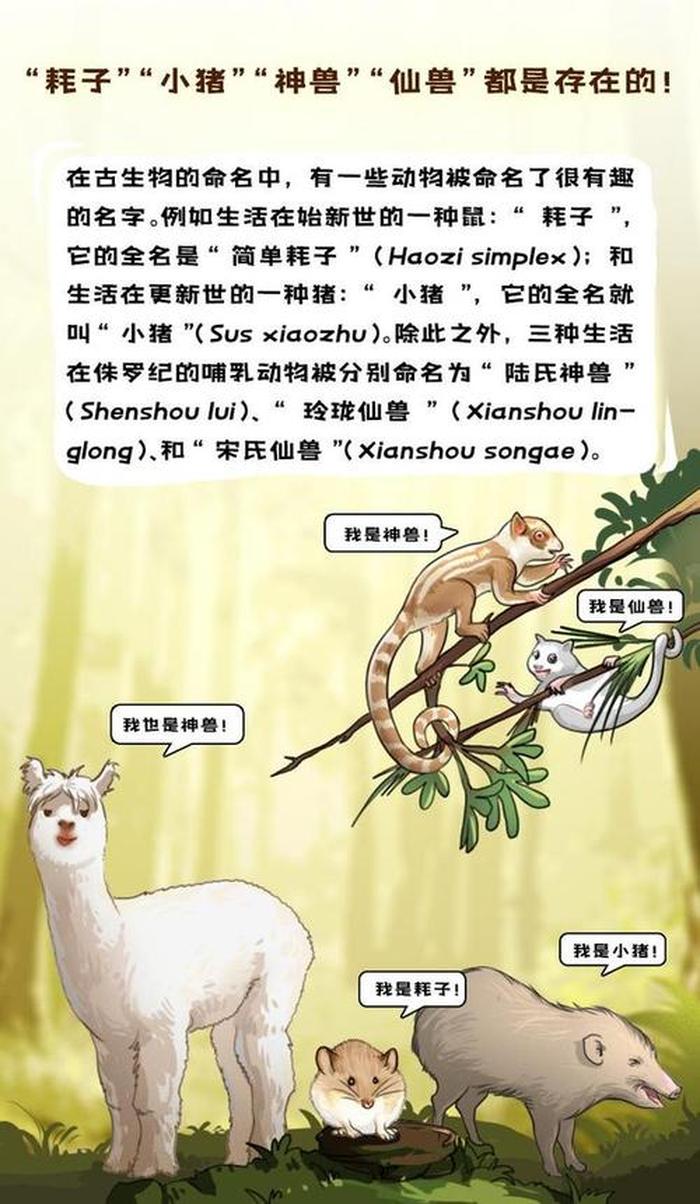生物冷门小知识、动物身上的科学知识