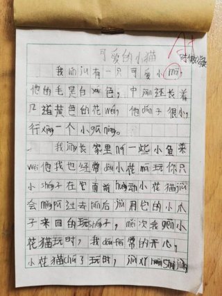 有趣的动物科普小知识作文、有趣的小动物作文